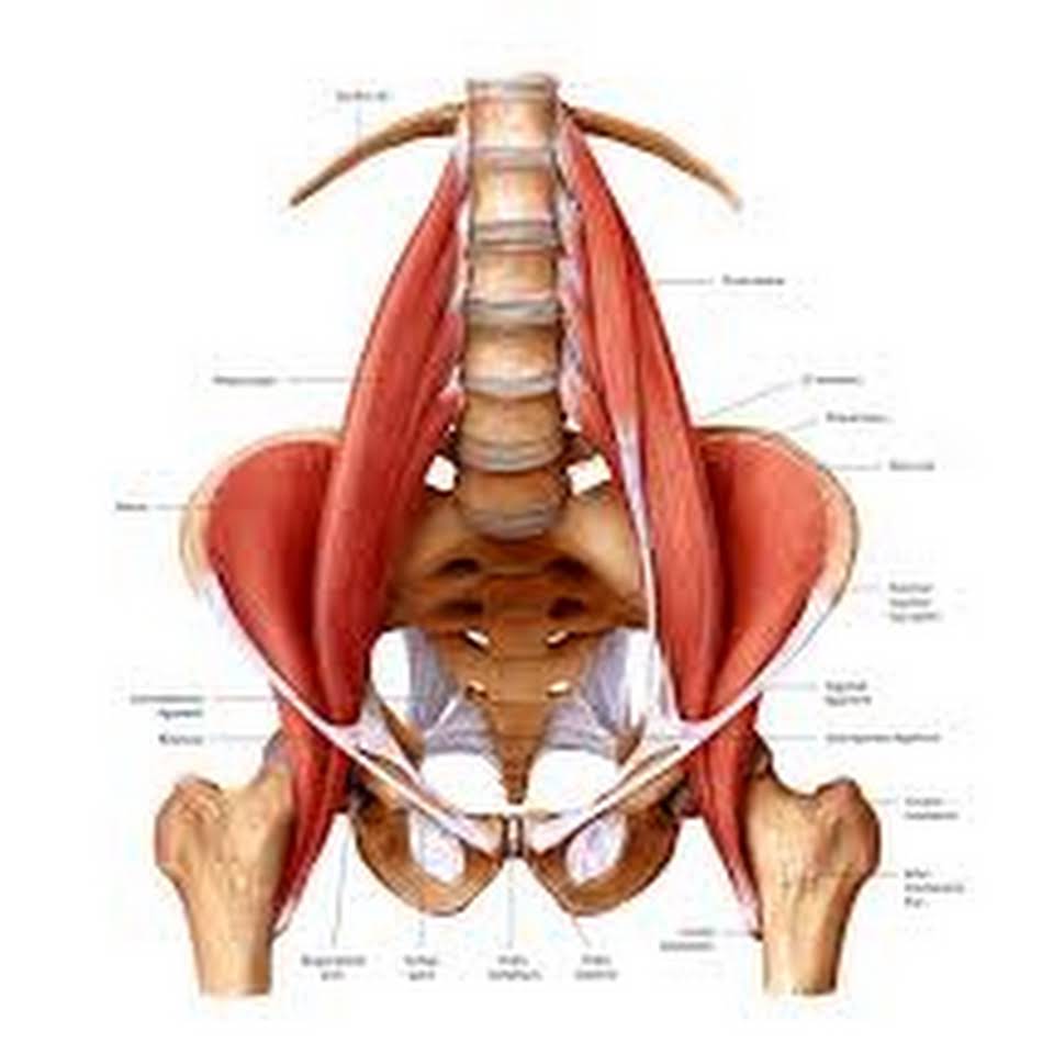 Low back problems solved